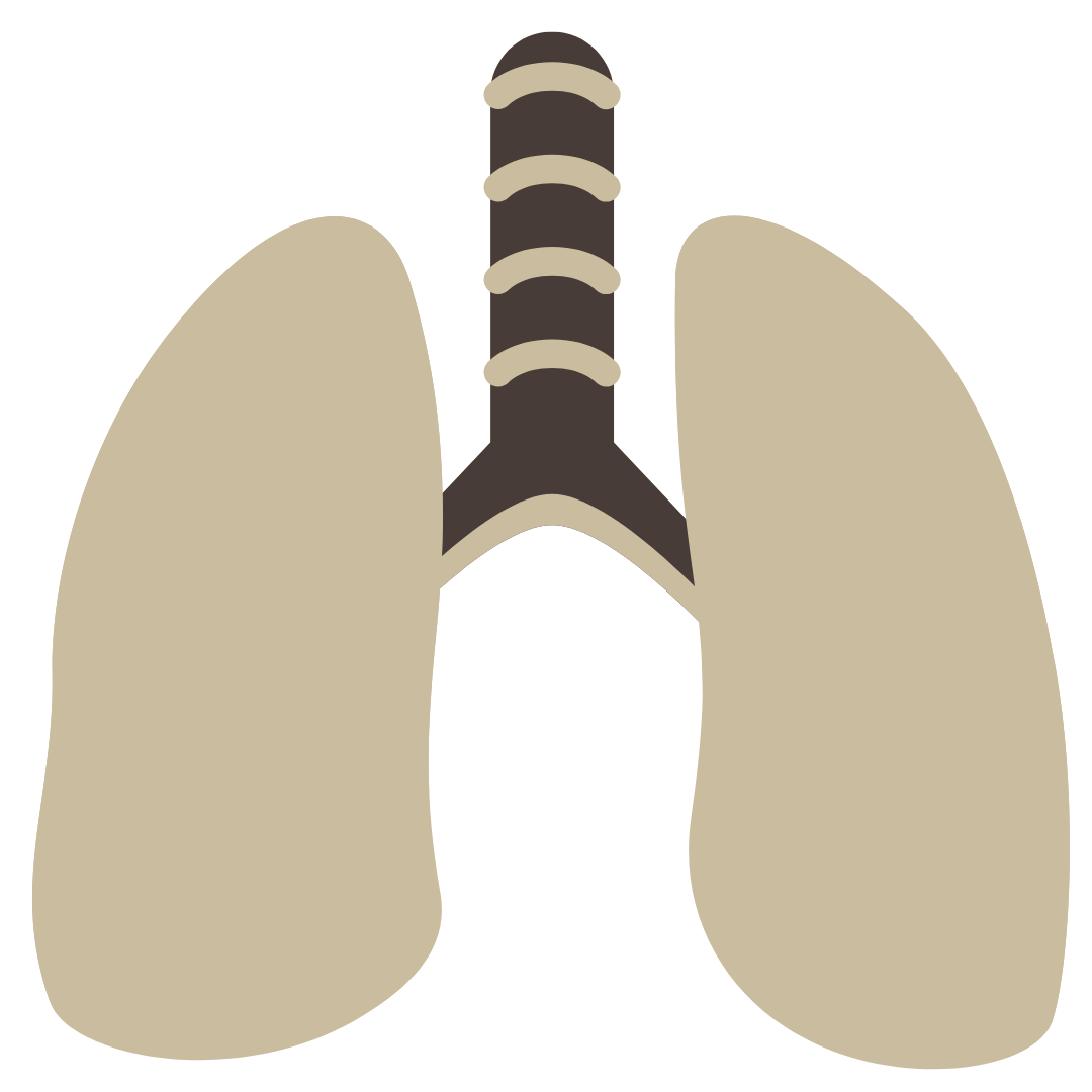 blue outline of a lungs symbol